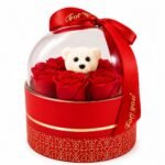 Romantic Rose Teddy Dome Gift Box | Luxury Surprise Gift for Anniversary & Valentine's Day